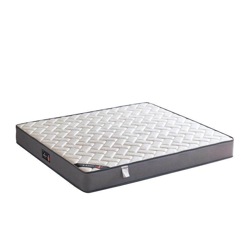 天鹅绒乳胶冰丝床垫软硬适中两用静音抗干扰家用席梦思床垫,淘宝优惠券,粉丝福利购,淘宝优惠卷