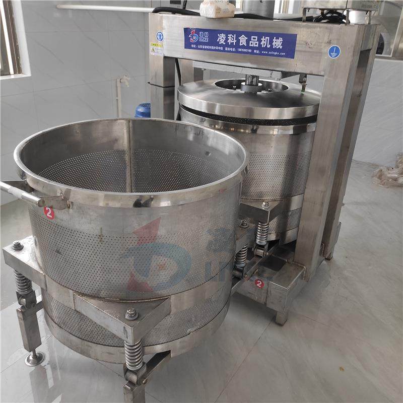 高速LY-100榨菜食品压榨机自动化物理液压脱水保留风味,淘宝优惠券,粉丝福利购,淘宝优惠卷