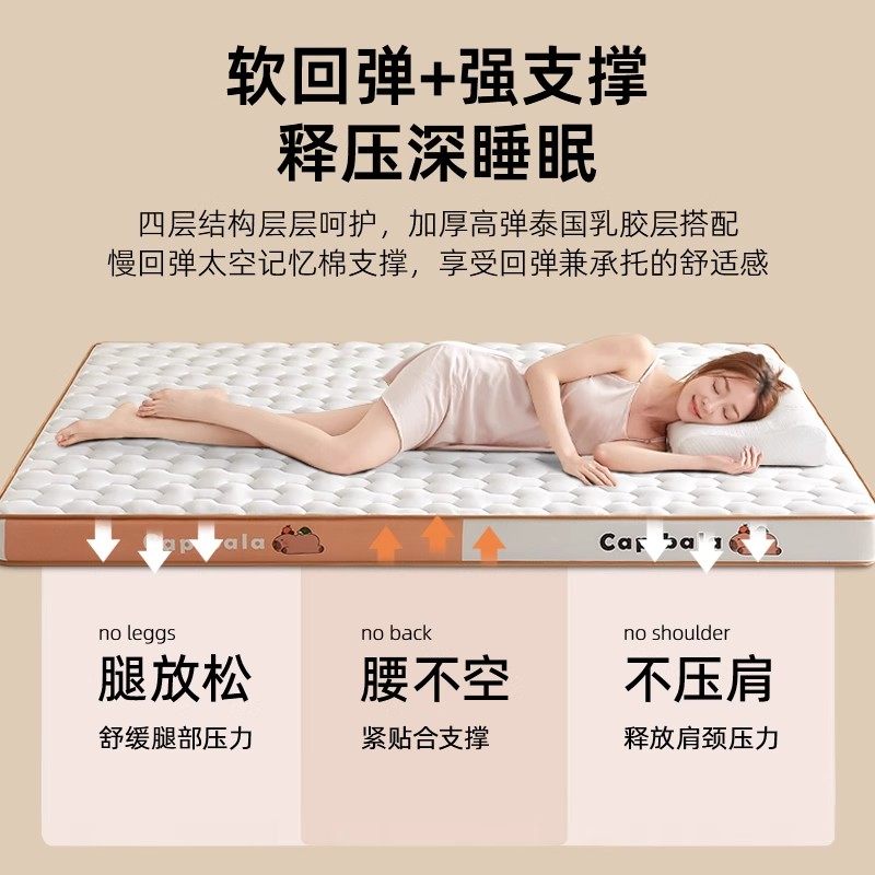 亚朵素翼乳胶记忆棉床垫软垫家用卧室租房专用榻榻米宿舍学生单人,淘宝优惠券,粉丝福利购,淘宝优惠卷