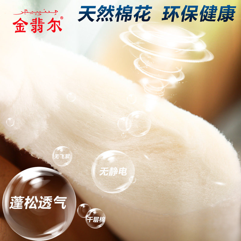 棉被春秋棉花被子单双人褥子轻儿童被芯学生加厚保暖冬被棉絮,淘宝优惠券,粉丝福利购,淘宝优惠卷