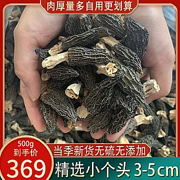 云南正品特级羊肚菌1*16根[3元优惠券]-寻折猪