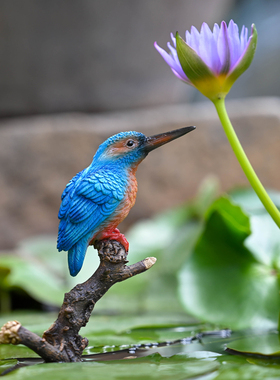 仿真翠鸟叶莺鸟摆件微景观动物小鸟园艺造景Y材料盆景饰品树脂