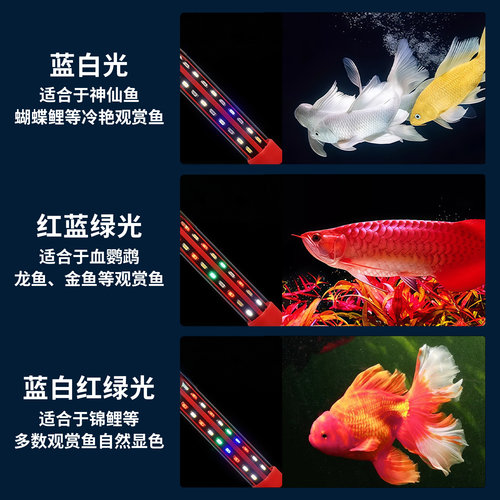 鱼缸LED防水灯超高亮潜水专用照明龙鱼鹦鹉观赏造景增艳长条灯管 - 图1