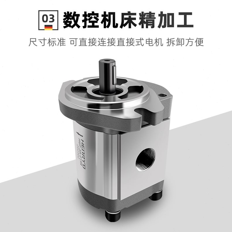 R25810RRHGP  R3A1 液压712 R  RR1928R  RR 1423R-F30- 16齿轮泵 - 图0