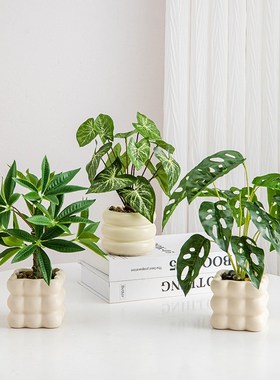 龟背竹盆栽仿真绿植客厅茶几摆件办公室桌面装饰工位稳定情绪神器