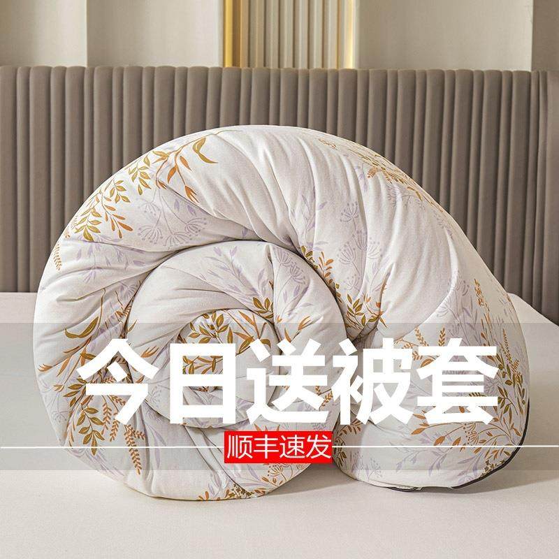 蚕丝被100桑蚕丝冬天被子冬被加厚春秋保暖棉被冬季被芯,淘宝优惠券,粉丝福利购,淘宝优惠卷