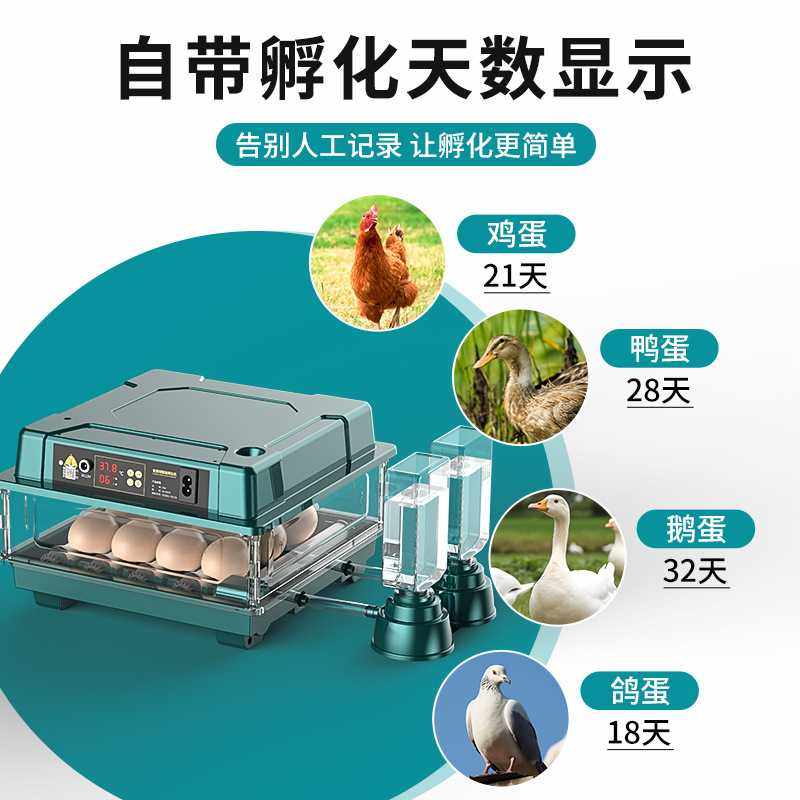 家用孵化器鸡鸭鹅鸽子芦丁鸟蛋孵化机器孵化箱,淘宝优惠券,粉丝福利购,淘宝优惠卷