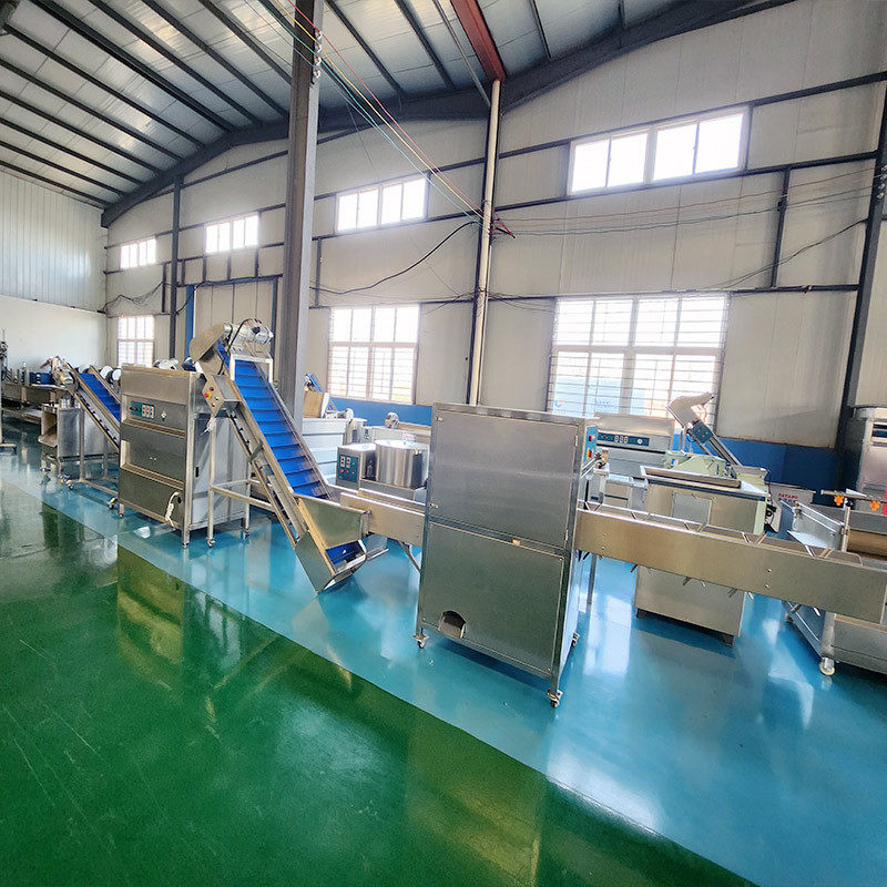 洋葱切根脱皮生产线无料无损伤切根尺寸可调节洋葱酥加工生产线,淘宝优惠券,粉丝福利购,淘宝优惠卷