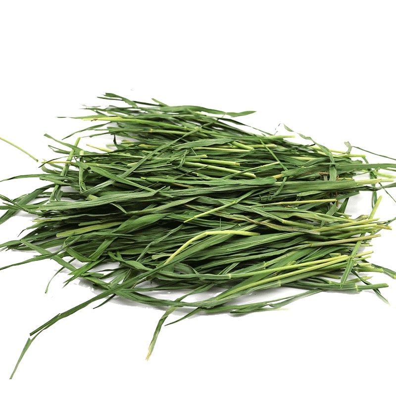 烘干小麦草兔子粮食猪龙猫饲料草料兔兔牧草主粮毛重约g,淘宝优惠券,粉丝福利购,淘宝优惠卷