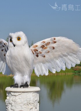 仿真羽毛猫头鹰摆件万摄节y表演道具影圣装饰