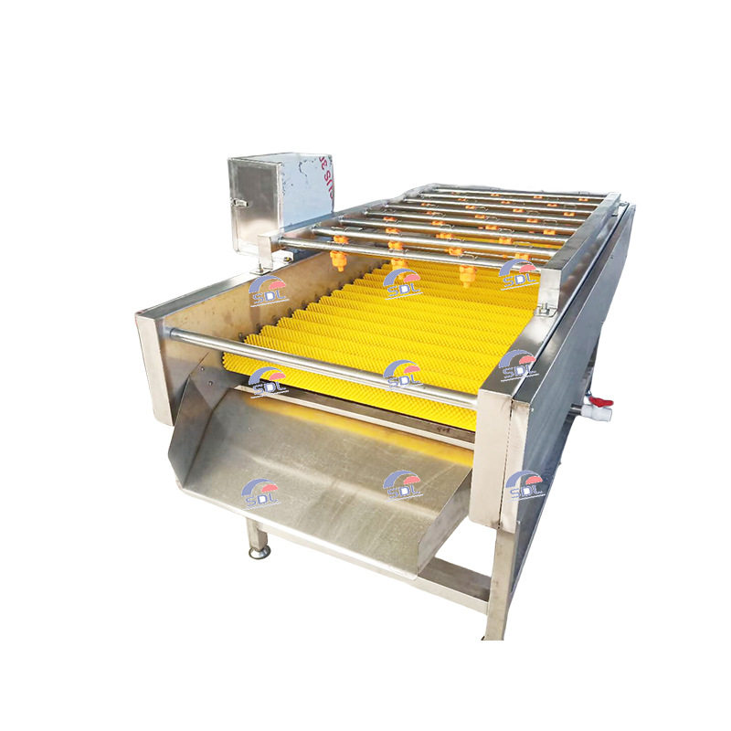 平行毛辊清洗机牡蛎扇贝海鲜清洗设备果蔬滚动喷淋清洗去杂机,淘宝优惠券,粉丝福利购,淘宝优惠卷