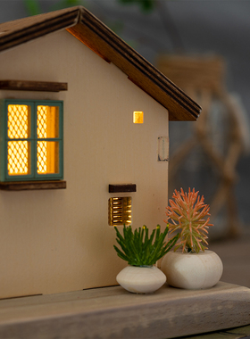 阿楹 木开装饰品物件床头电视柜展示书架ns家居屋放格小摆件