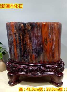 天玉硅化石 树化然木化木原石 观赏泰山装饰奇石摆件