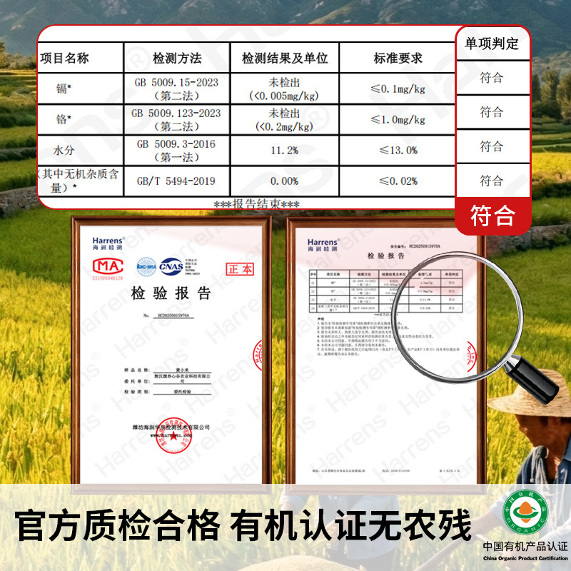 图 5