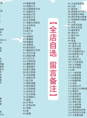 蓝风铃鼠尾草与海盐香水小样试香