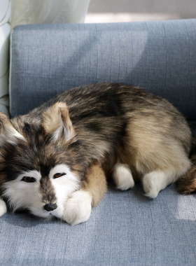 仿真布动道哈士奇拉狗拉多睡狗摆件家居桌面车载摄影物具