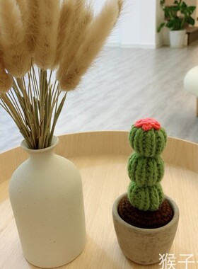 纯手工编织公人掌植物摆件风可仙小清新办爱桌针织小盆栽成品