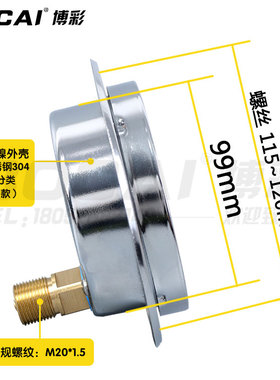 面板式耐震压力表YN100ZT轴向带边气液水油不锈钢1.6负压真空船用