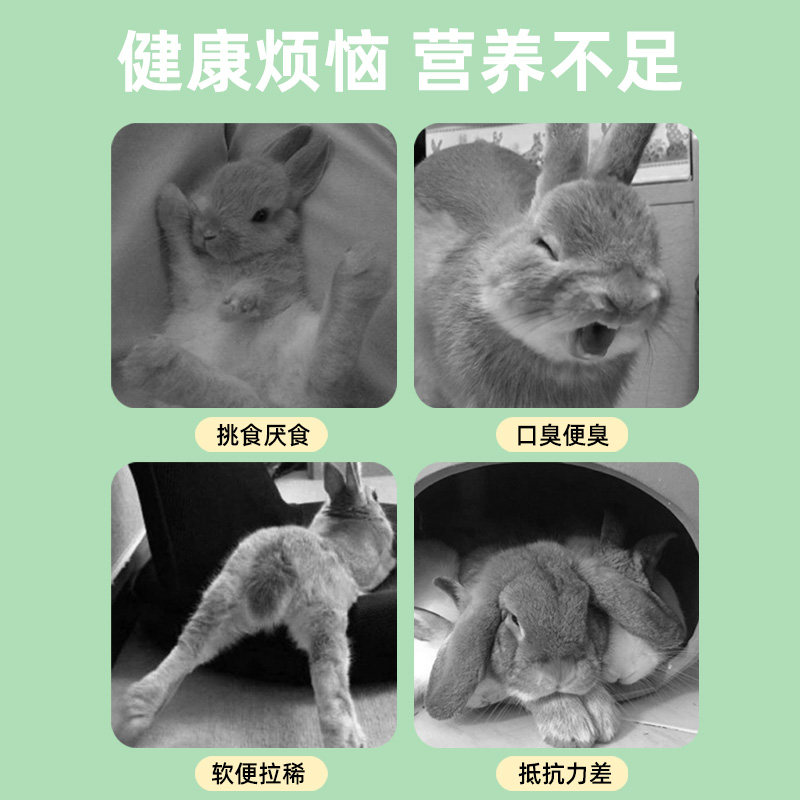 兔粮成幼兔子专用高纤维荷兰猪豚鼠侏儒兔磨牙零食兔饲料专用品,淘宝优惠券,粉丝福利购,淘宝优惠卷