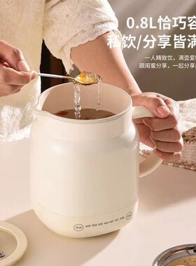 出口德国电炖杯恒温保温多功能小电煮锅陶瓷釉内胆花茶便携炖煮杯