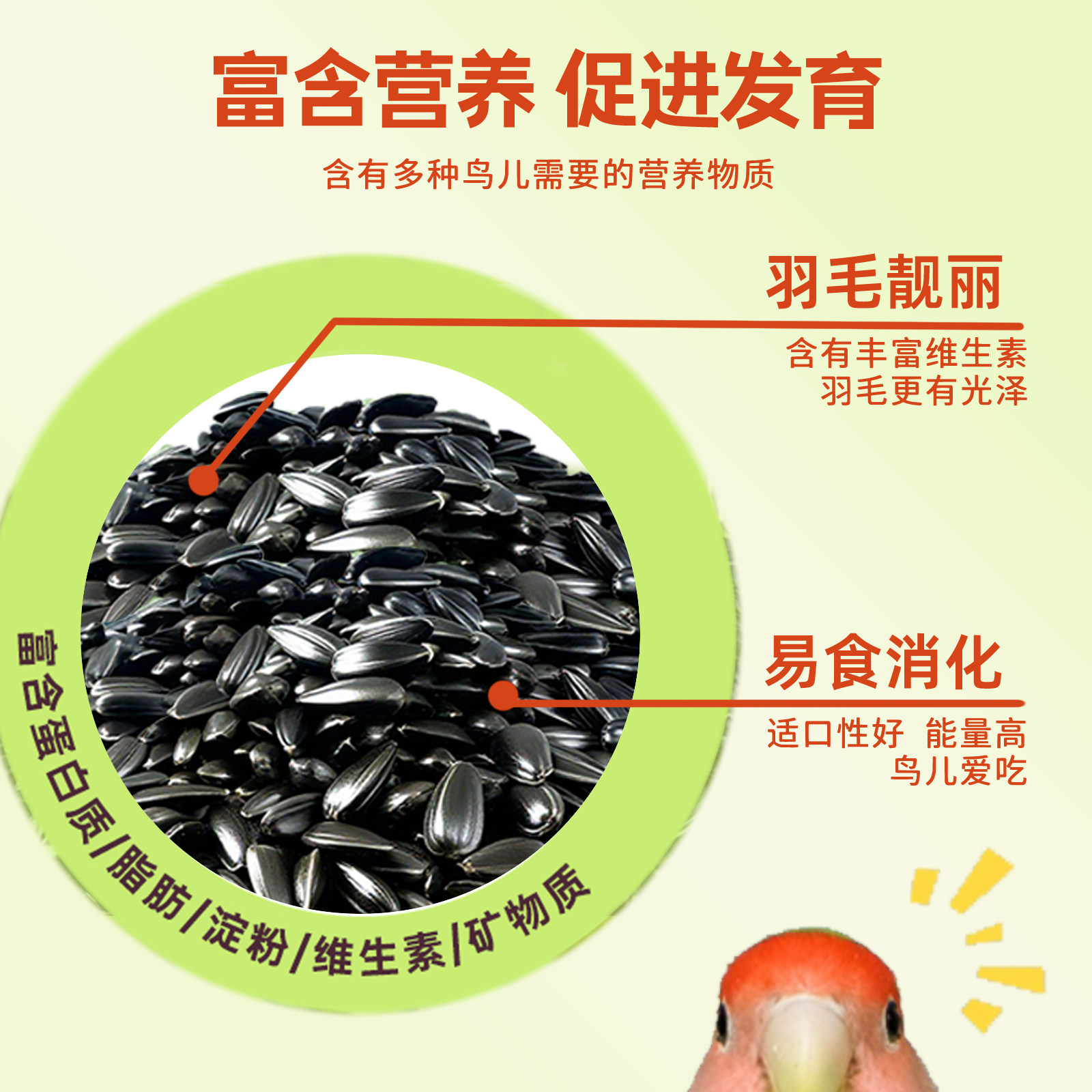 鹦鹉天然油葵瓜子鸟零食鸟粮0添加新鲜精选营养丰富鲜香可口,淘宝优惠券,粉丝福利购,淘宝优惠卷