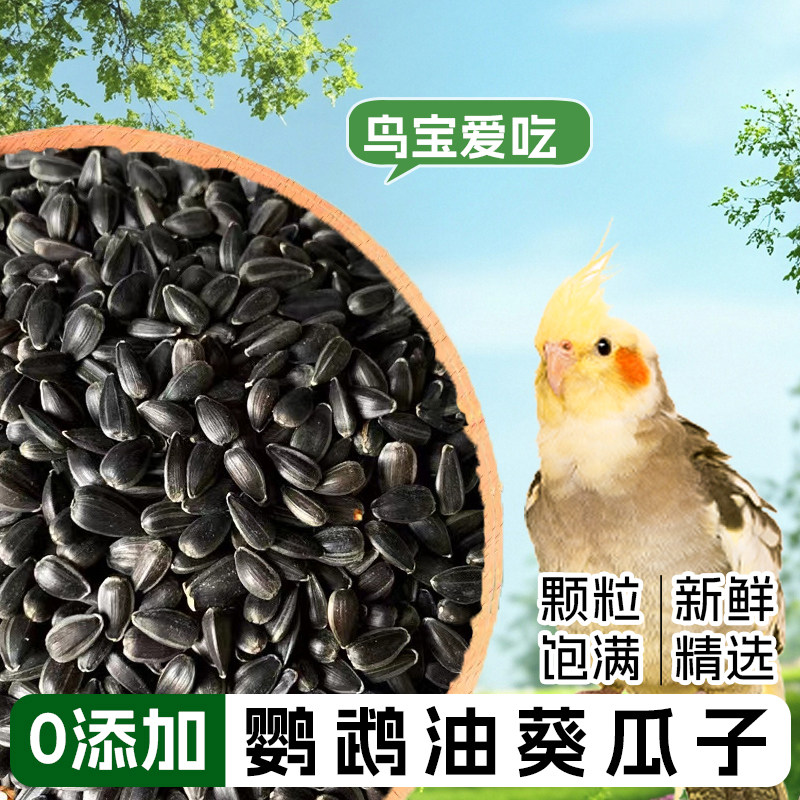 鹦鹉天然油葵瓜子鸟零食鸟粮0添加新鲜精选营养丰富鲜香可口,淘宝优惠券,粉丝福利购,淘宝优惠卷