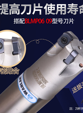 快进给双面铣刀杆BLMP0603R/TEBL06特固克 BLMP0603R刀片开粗铣面
