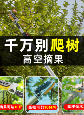 摘果神器修枝剪伸缩高空摘水果剪刀加长采摘器荔枝枇杷龙眼高枝剪