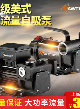 抽油泵12v24v220v防爆大流量柴汽油电动车载加油机设备小型自吸泵