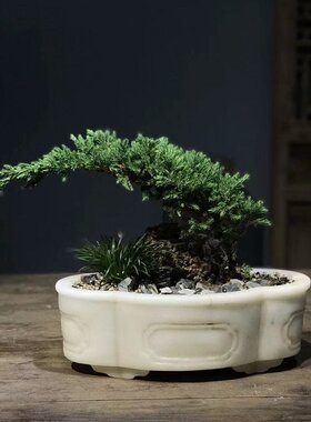 汉白玉雕刻石头盆种花养鱼摆件室内外海棠祥云盆装饰盆景复古花盆