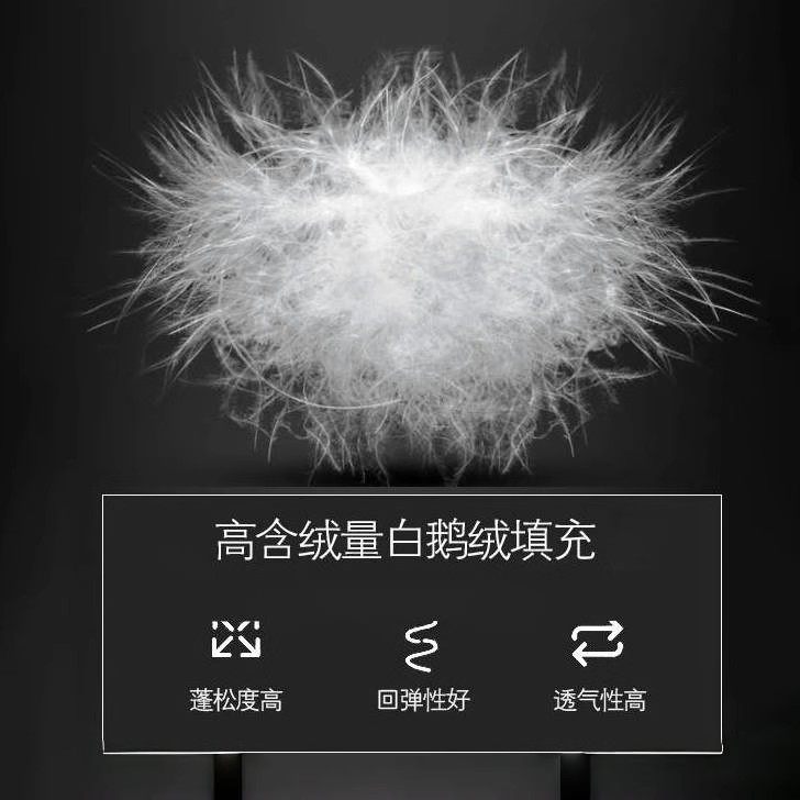 官方正品95白鹅绒梵诗亚朵羽绒被冬被人双人春秋被加厚保暖被芯,淘宝优惠券,粉丝福利购,淘宝优惠卷