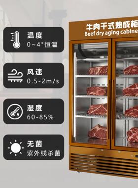 定制干湿式熟成柜商用牛肉牛排酸柜深海鱼芝士香肠展示柜挂肉熟成