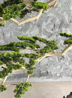 迎客松树室内造景崖柏松绿植玄关橱窗根包石景观家居装扮微景观