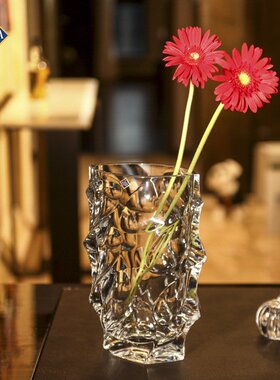 捷克进口BOHEMIA水晶玻璃花瓶 个性时尚轻奢插花花器客厅摆件欧式
