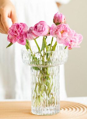 创意简约透明玻璃花瓶水养插花北欧客厅矮款宽口装饰摆件
