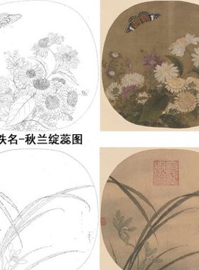 水墨清莲工笔画宋画花鸟小品白描底稿40幅初学者高清实物打印稿