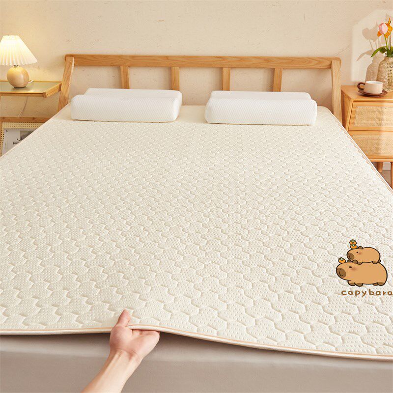 2025新款冬夏两用泡泡棉双面藤席子夏J季打地铺垫学生宿舍床褥垫,淘宝优惠券,粉丝福利购,淘宝优惠卷