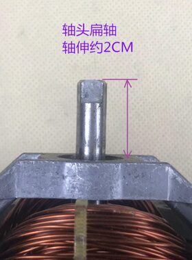 全新G9545扁轴交流电机 榨汁机 豆浆机 破壁料理机通用电机马达