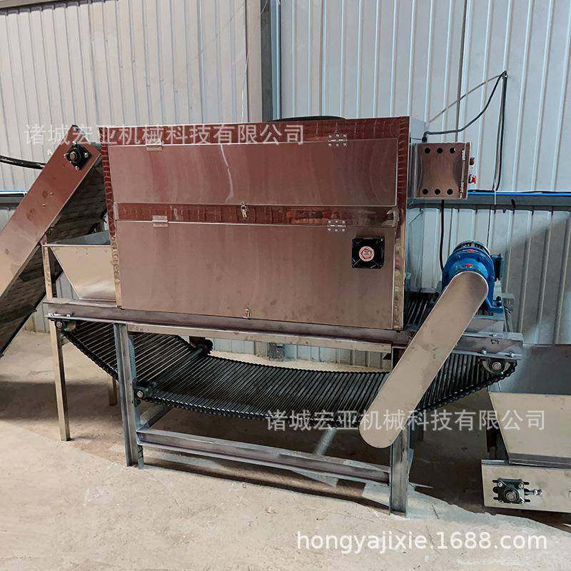 洋葱红葱头除皮剥皮机全自动链条式大蒜脱皮机不锈钢去皮机设备,淘宝优惠券,粉丝福利购,淘宝优惠卷