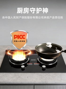华火新款纯电生明火灶