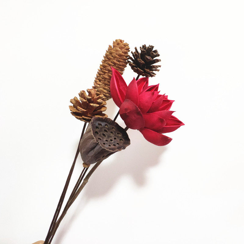 手工干花莲花莲蓬 干果松u果路路通 佛系装饰禅意花束手工制作创,淘宝优惠券,粉丝福利购,淘宝优惠卷