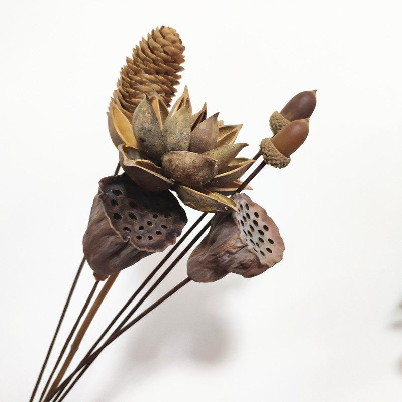 手工干花莲花莲蓬 干果松u果路路通 佛系装饰禅意花束手工制作创,淘宝优惠券,粉丝福利购,淘宝优惠卷