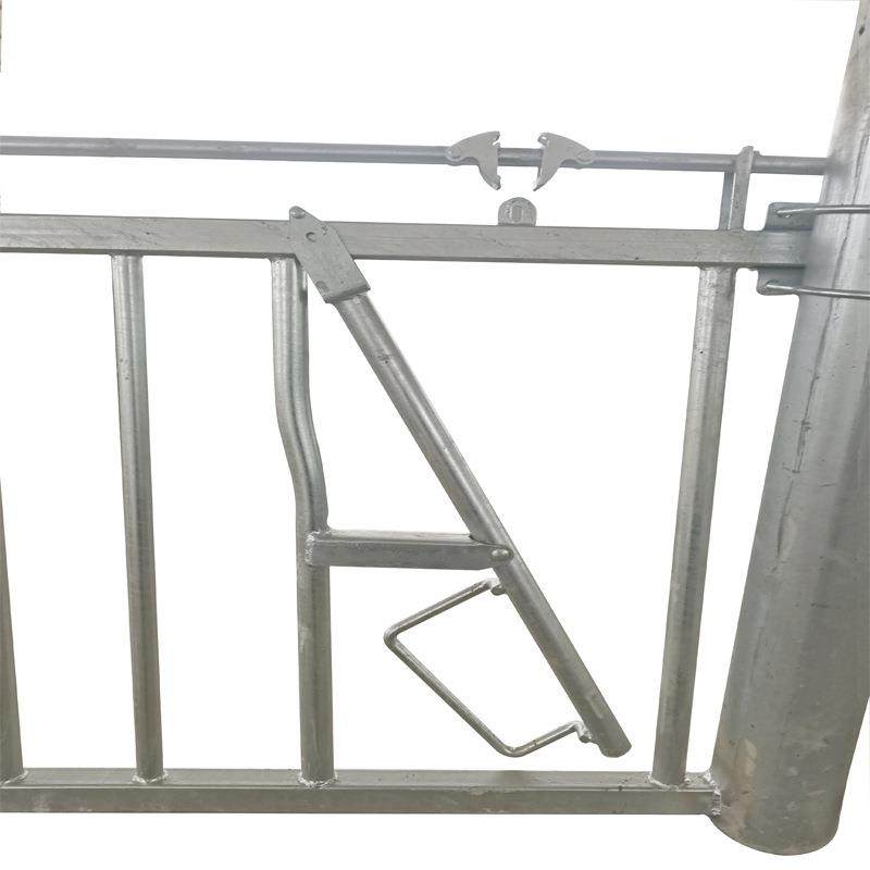 牛劲枷枷牛群固定用具争食抢食解决方法兽用拴牛机械奶牛防争食