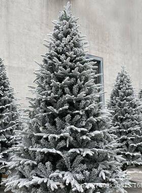 圣诞节白色雪花植绒PE圣诞树1.5米1.8米2.1米3米仿真雪松雪景装饰