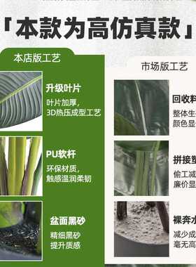 直销PU软杆高仿真旅人蕉北欧风格民宿装饰绿植INS风假树绿植