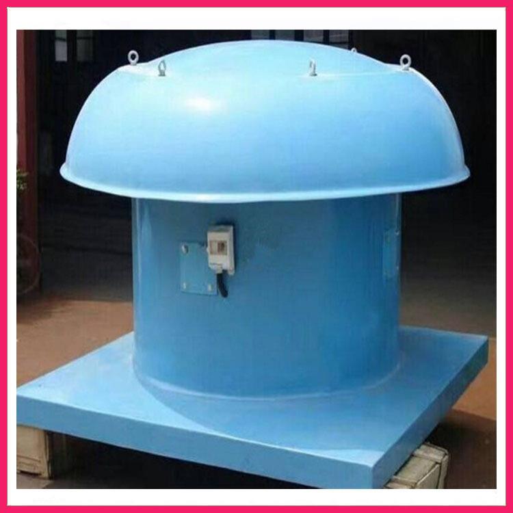DWT-I型轴流式屋顶风机玻璃钢屋顶防爆风机玻璃钢轴流风机防爆 - 图1