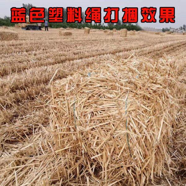 蓝色塑料方捆机打捆专用捆草绳玉米秸秆打包绳子打捆塑料绳华德机,淘宝优惠券,粉丝福利购,淘宝优惠卷