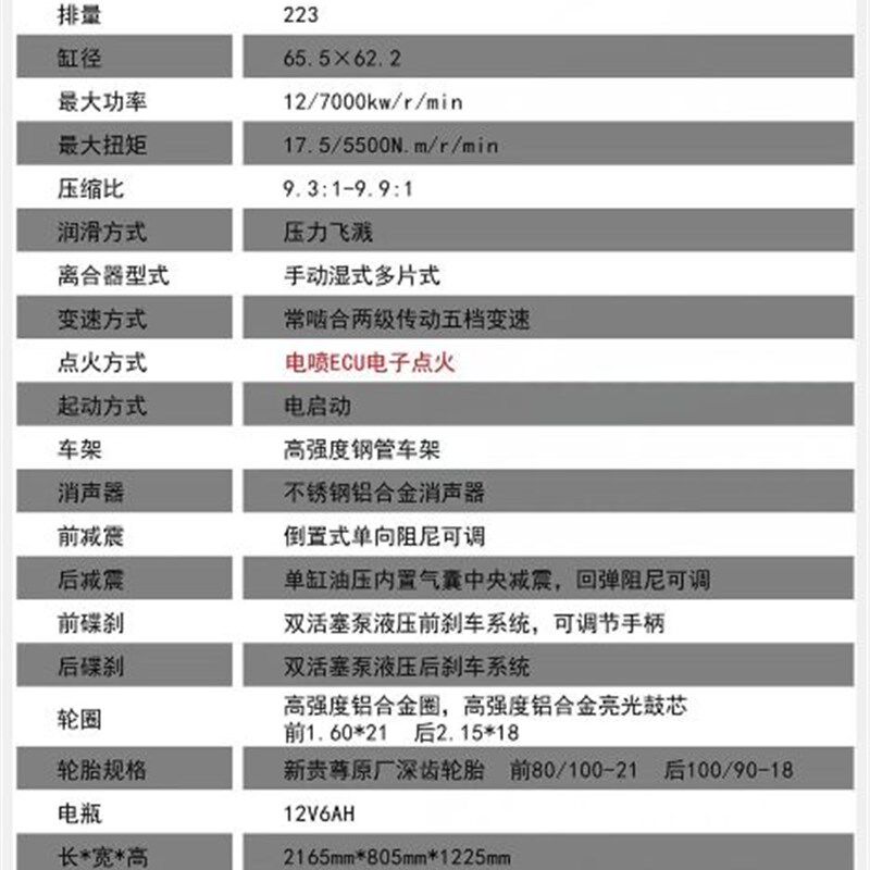 现货2021款新贵尊极盗者-1B国四电喷上牌250CC山地高架越野摩托车 - 图1