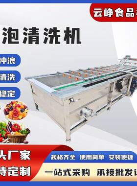 果蔬气泡清洗机预制菜清洗设备葡萄干瓜果气泡清洗机毛豆清洗机