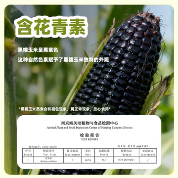 220gx8根12.9！康宇田源.黑甜糯玉米[22元优惠券]-寻折猪